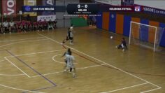 Privato: [ID: TVRRT4C4Tzw] Youtube Automatic