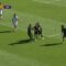 Il Campobasso crolla nella ripresa: il Perugia timbra un umiliante 1-5 – 18/10/2026