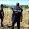 Privato: [ID: fe0N5iB99pg] Youtube Automatic
